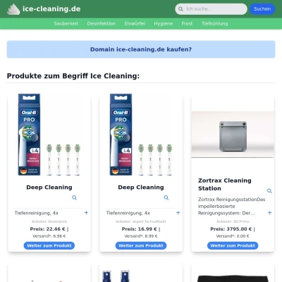 Screenshot ice-cleaning.de