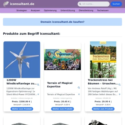 Screenshot iconsultant.de