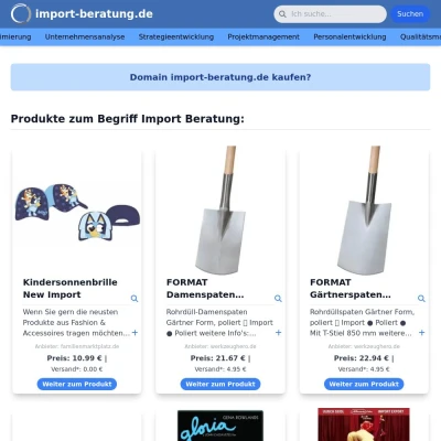 Screenshot import-beratung.de