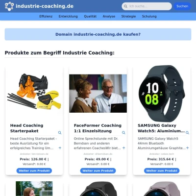 Screenshot industrie-coaching.de