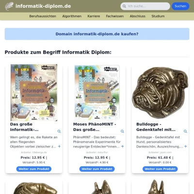 Screenshot informatik-diplom.de