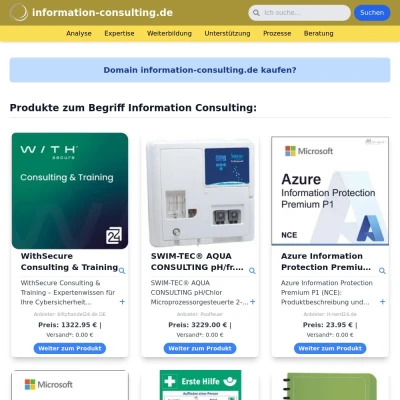 Screenshot information-consulting.de