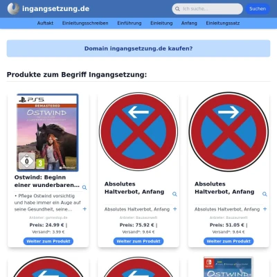 Screenshot ingangsetzung.de