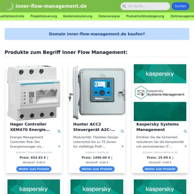 Screenshot inner-flow-management.de