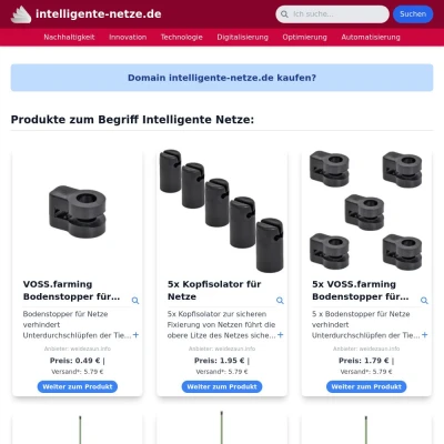 Screenshot intelligente-netze.de