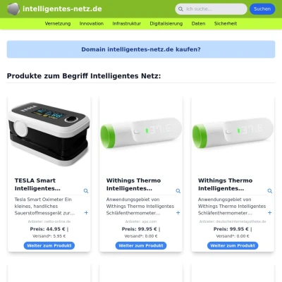 Screenshot intelligentes-netz.de