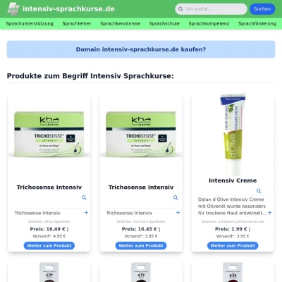 Screenshot intensiv-sprachkurse.de