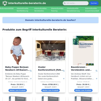 Screenshot interkulturelle-beraterin.de