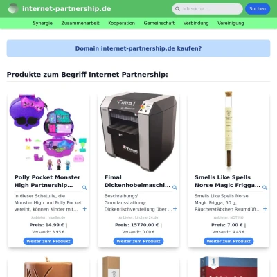 Screenshot internet-partnership.de