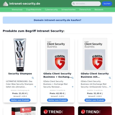 Screenshot intranet-security.de