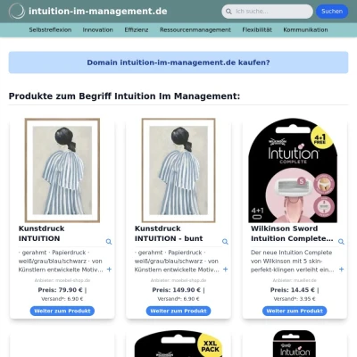 Screenshot intuition-im-management.de