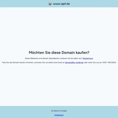 Screenshot iqef.de