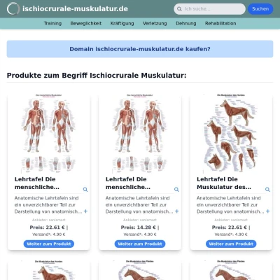 Screenshot ischiocrurale-muskulatur.de