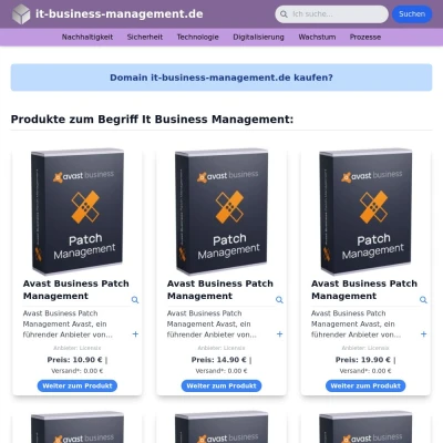 Screenshot it-business-management.de