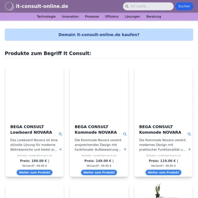 Screenshot it-consult-online.de