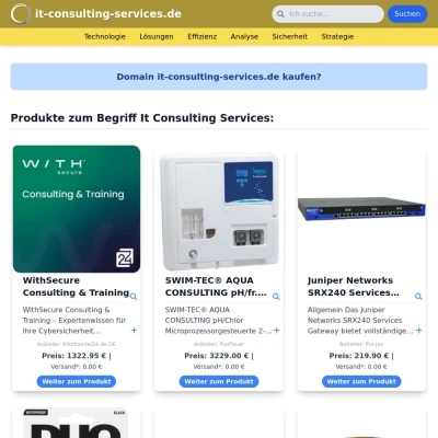 Screenshot it-consulting-services.de