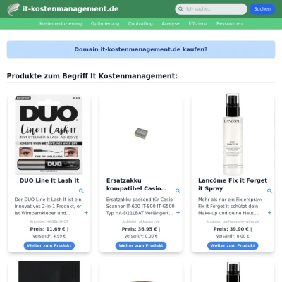 Screenshot it-kostenmanagement.de