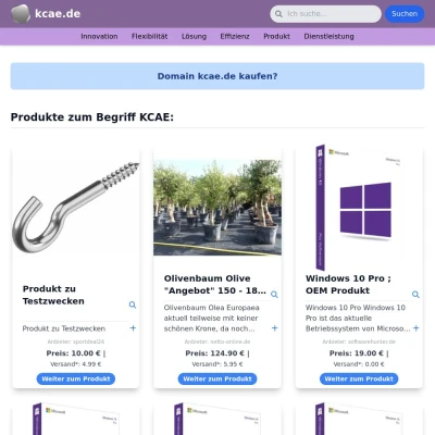 Screenshot kcae.de