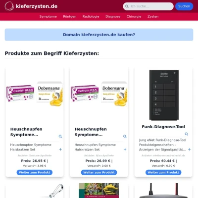 Screenshot kieferzysten.de