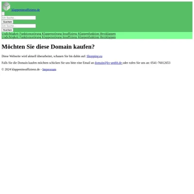 Screenshot klappeninsuffizienz.de