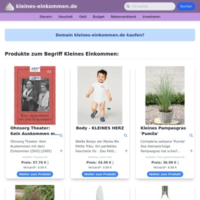 Screenshot kleines-einkommen.de