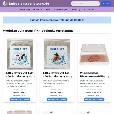 Screenshot kniegelenksverletzung.de