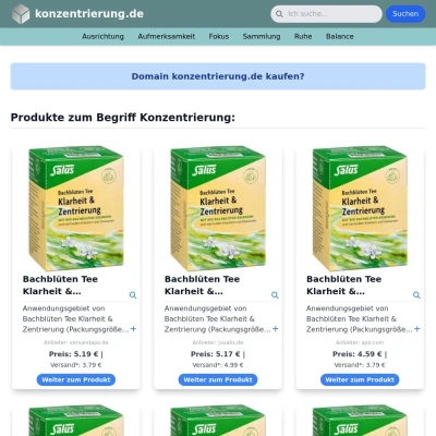 Screenshot konzentrierung.de