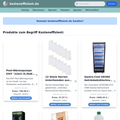 Screenshot kosteneffizient.de