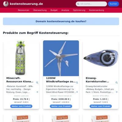 Screenshot kostensteuerung.de