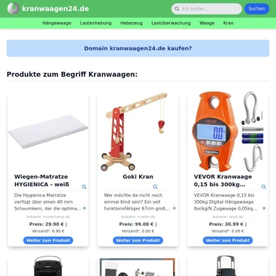 Screenshot kranwaagen24.de