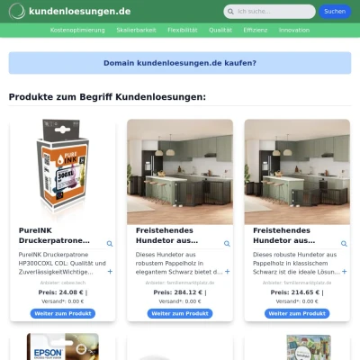 Screenshot kundenloesungen.de