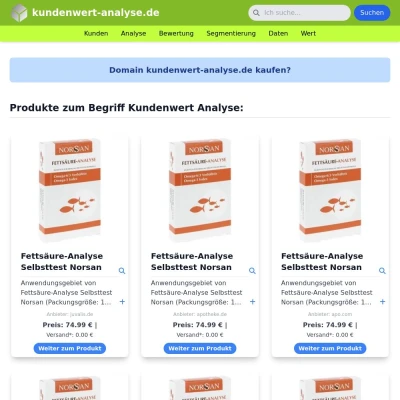 Screenshot kundenwert-analyse.de