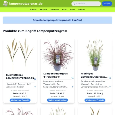 Screenshot lampenputzergras.de