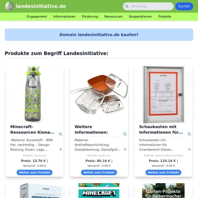 Screenshot landesinitiative.de