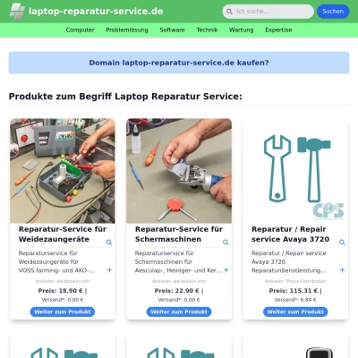 Screenshot laptop-reparatur-service.de