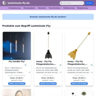 Screenshot lastminute-fly.de