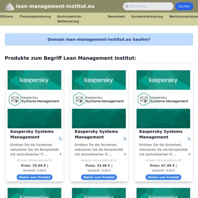 Screenshot lean-management-institut.eu