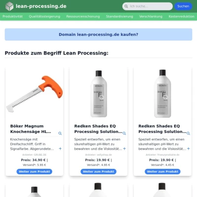 Screenshot lean-processing.de