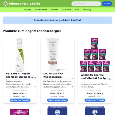 Screenshot lebensenergie24.de