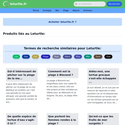 Screenshot leturtle.fr