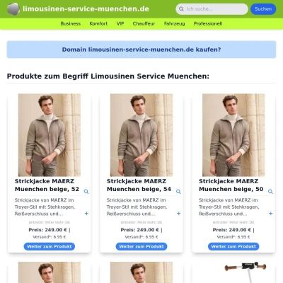 Screenshot limousinen-service-muenchen.de