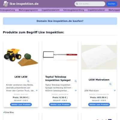 Screenshot lkw-inspektion.de