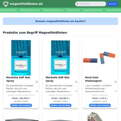 Screenshot magnetfeldlinien.de