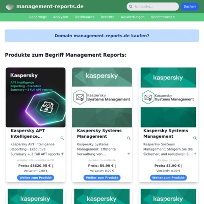 Screenshot management-reports.de