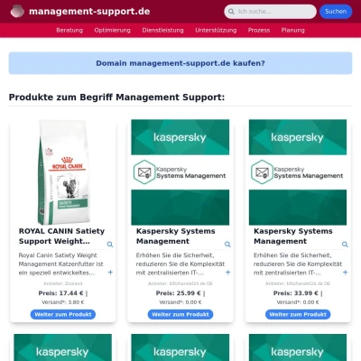 Screenshot management-support.de