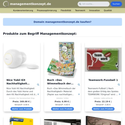 Screenshot managementkonzept.de