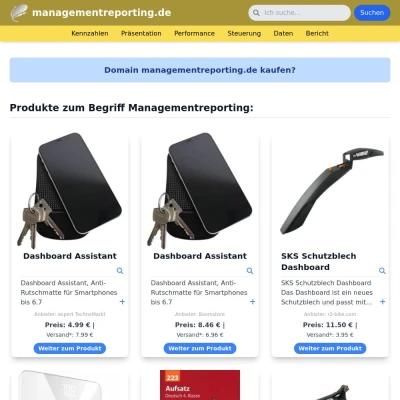 Screenshot managementreporting.de