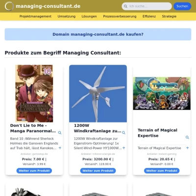 Screenshot managing-consultant.de