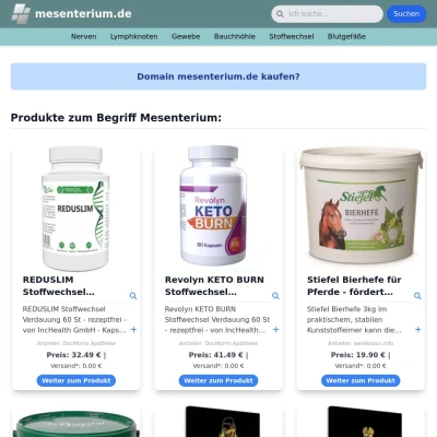 Screenshot mesenterium.de