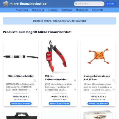 Screenshot mikro-finanzinstitut.de